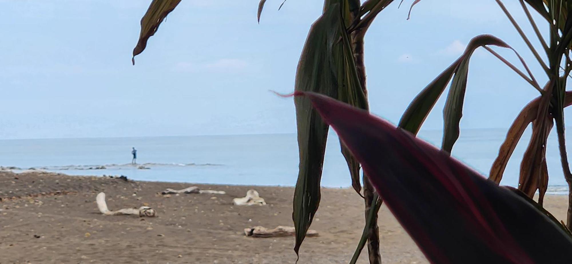 Macaw Paradise Jacó Екстериор снимка