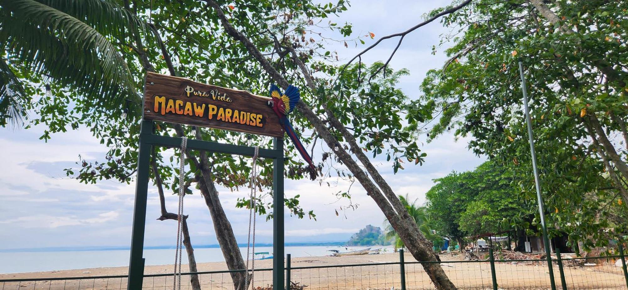 Macaw Paradise Jacó Екстериор снимка